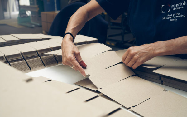Worker handling cardboard protective packaging divisions